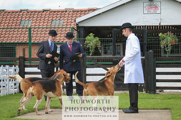 Hurworth Hunt 37