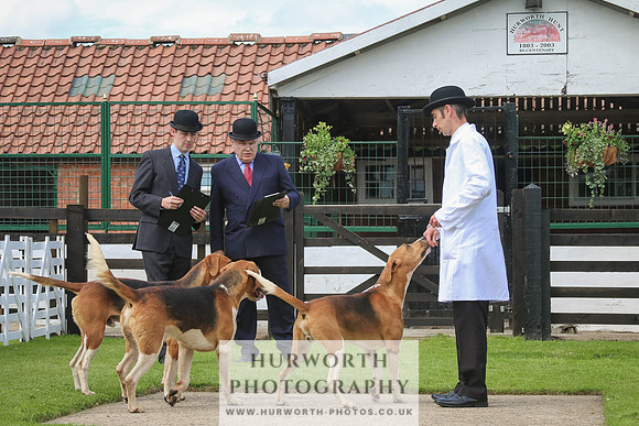 Hurworth Hunt 38