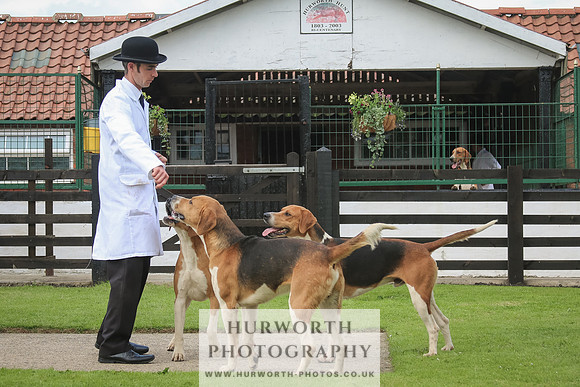 Hurworth Hunt 40