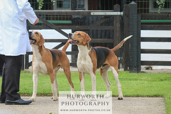 Hurworth Hunt 41