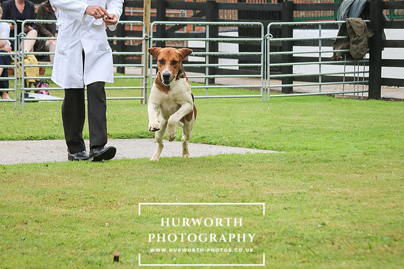 Hurworth Hunt 22