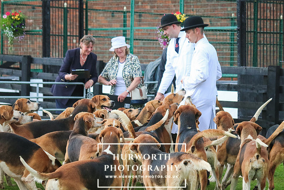 Hurworth Hunt 137
