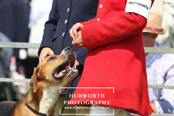 Hurworth Hunt 35