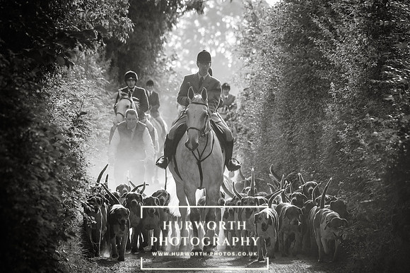 Hurworth Hunt 16