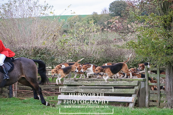 Hurworth Hunt 114
