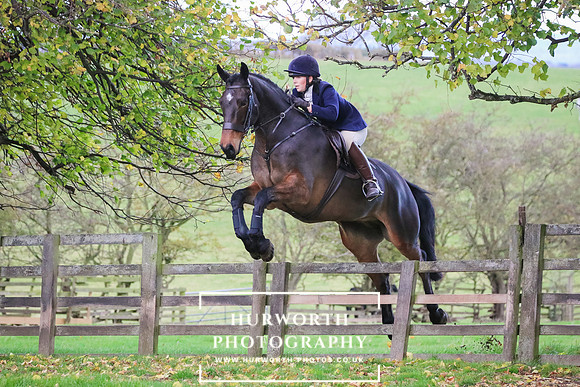Hurworth Hunt 227