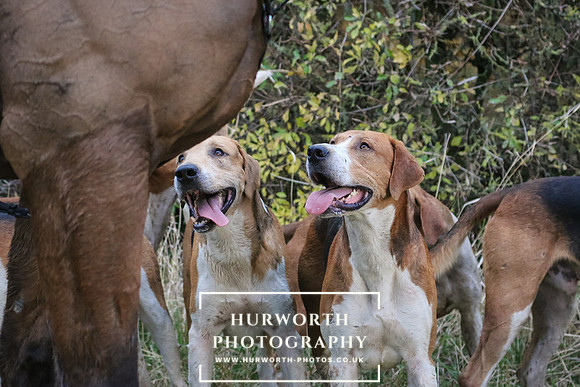 Hurworth Hunt 602