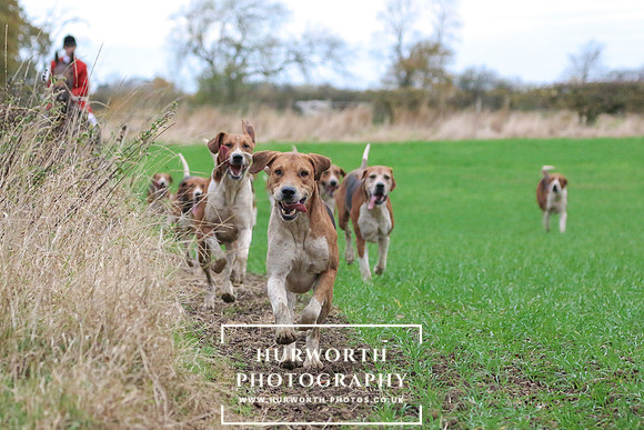Hurworth Hunt 606