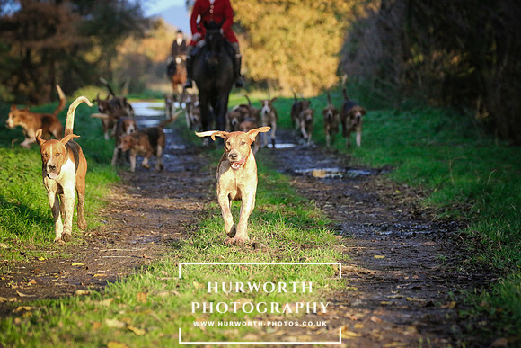 Hurworth Hunt  224