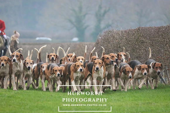 Hurworth Hunt 027