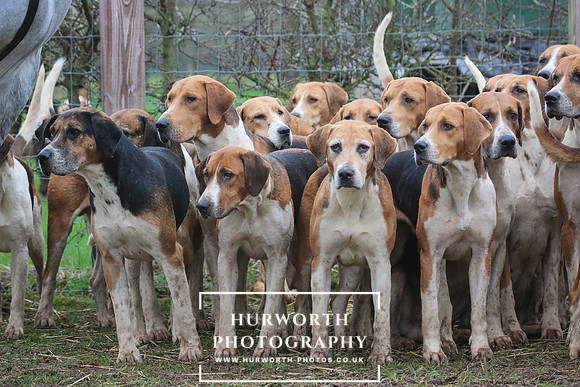 Hurworth Hunt 086