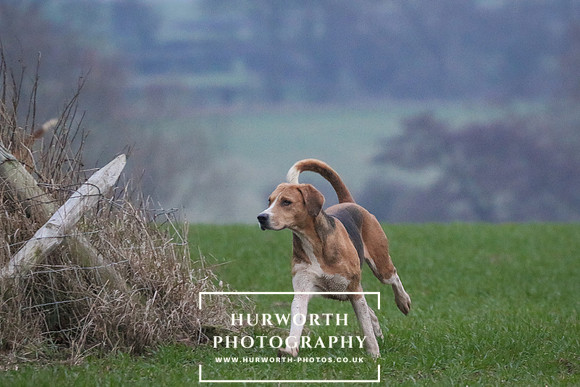 Hurworth Hunt 483