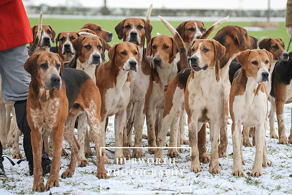 Hurworth Hunt 046