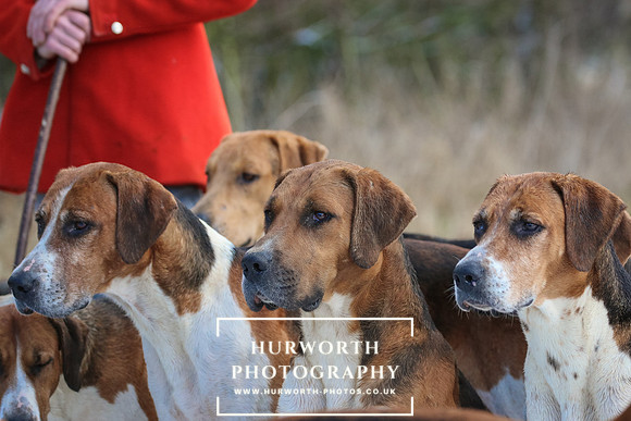 Hurworth Hunt 70