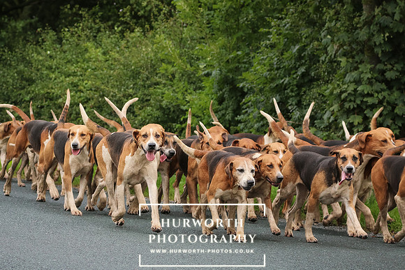 Hurworth Hunt -95