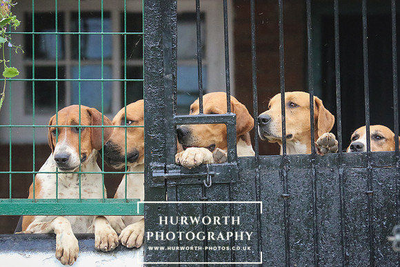 Hurworth Hunt 170