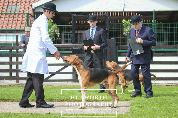 Hurworth Hunt 18