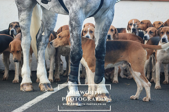 Hurworth Hunt 029