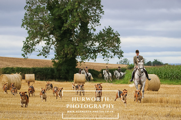 Hurworth Hunt -284