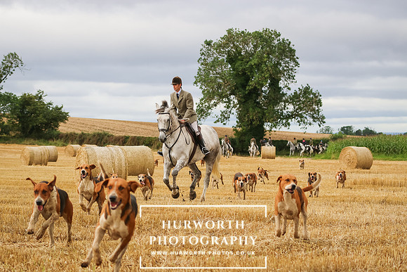 Hurworth Hunt -291
