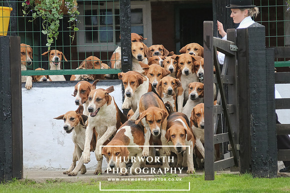 Hurworth Hunt 132