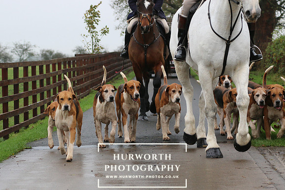 Hurworth Hunt  23