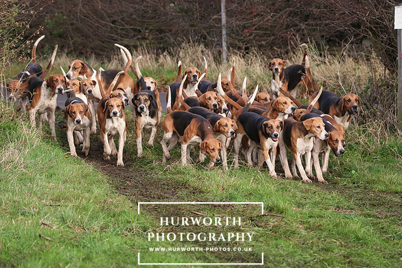 Hurworth Hunt 020