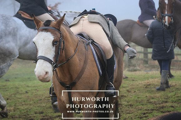 Hurworth Hunt 203