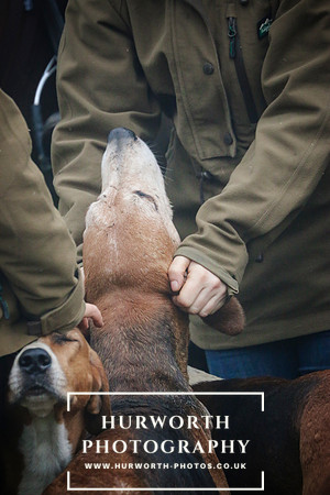 Hurworth Hunt 126