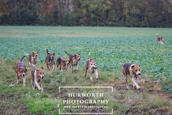 Hurworth Hunt  387