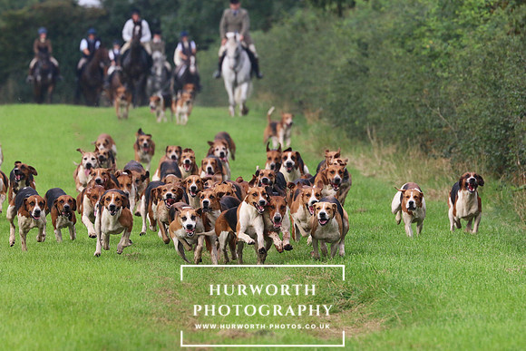 Hurworth Hunt 422