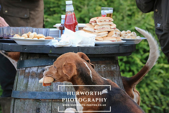 Hurworth Hunt 66