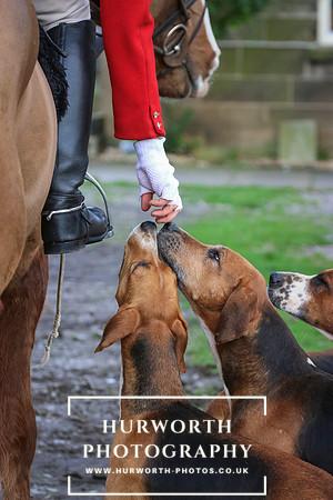 Hurworth Hunt 82