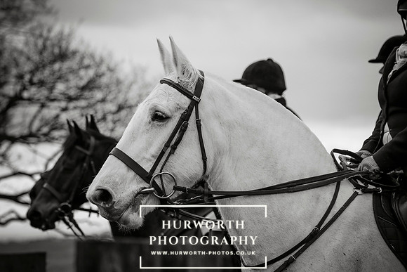 Hurworth Hunt 122