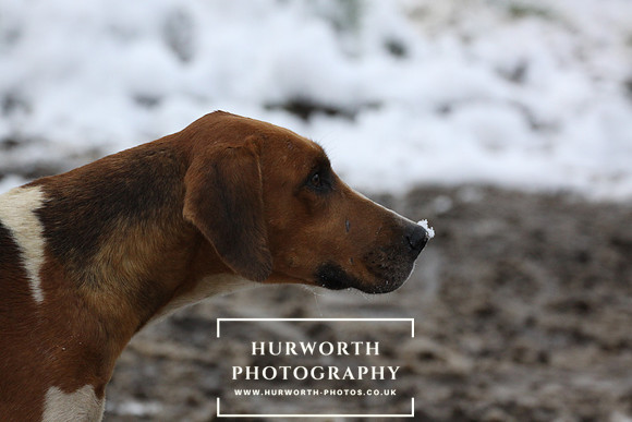 Hurworth 002