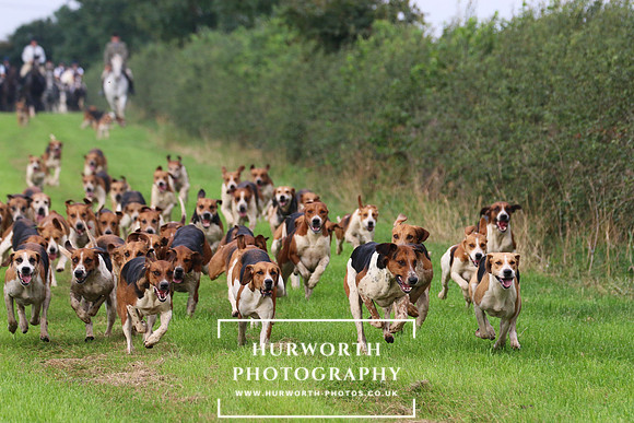 Hurworth Hunt 430