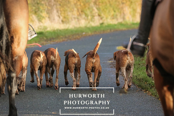 Hurworth Hunt  208