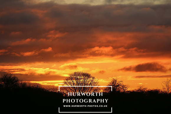 Hurworth Hunt 125