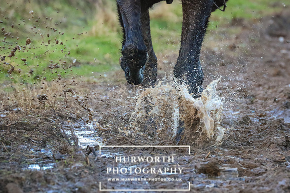 Hurworth Hunt 41