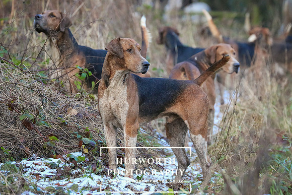 Hurworth Hunt 83