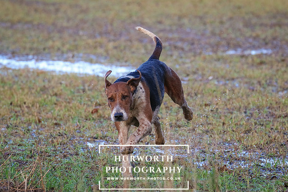 Hurworth Hunt 62