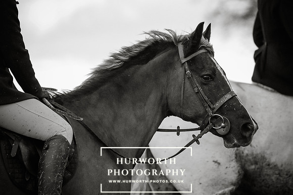 Hurworth Hunt 94