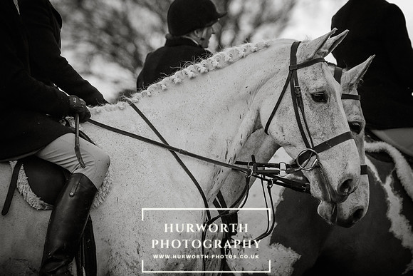 Hurworth Hunt 91