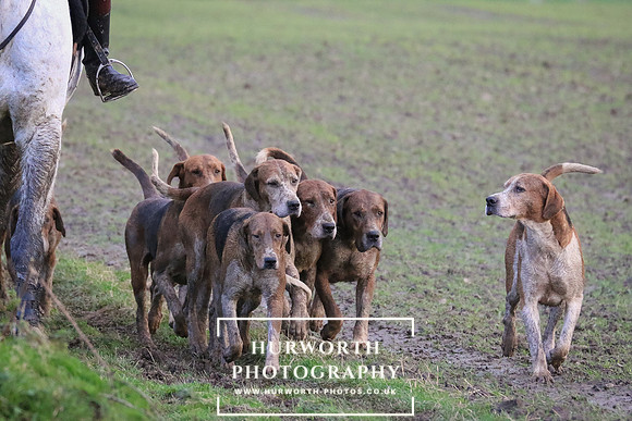 Hurworth Hunt 89