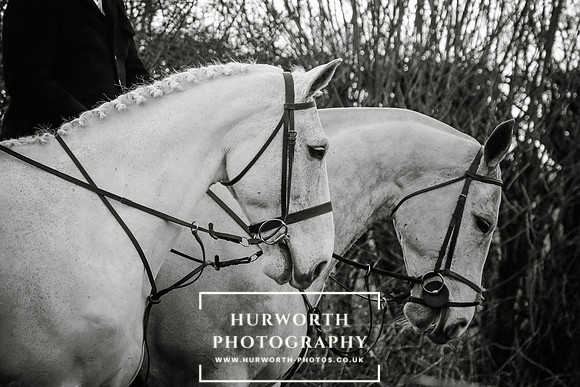 Hurworth Hunt 19