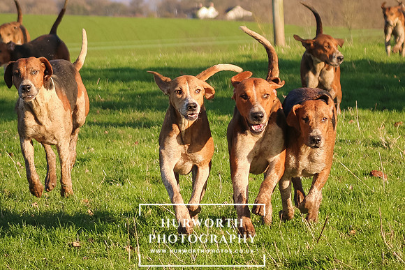 Hurworth Hunt 192