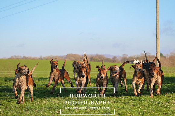 Hurworth Hunt 190
