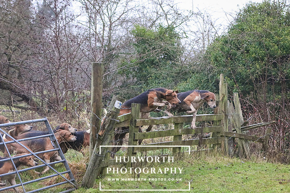 Hurworth Hunt 156