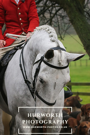 Hurworth Hunt 75