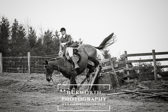 Hurworth Hunt 176
